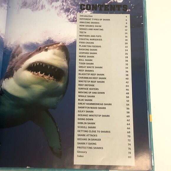 discovery kids sharks hardcover by parragon books educational homeschool library - Picture 7 of 10
